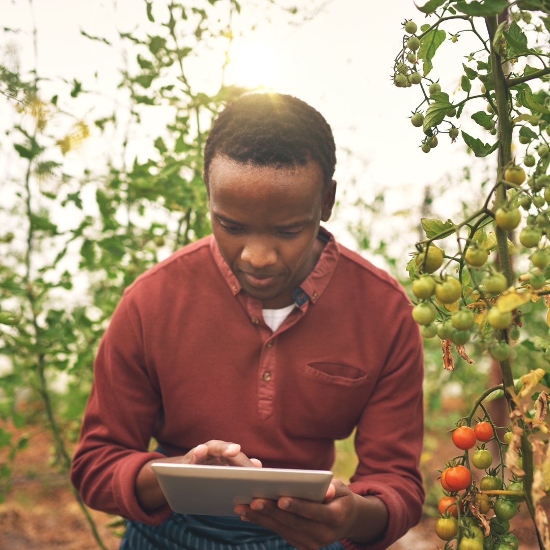 Technology🤝🏽Conservation 2022 TxN 20 Honorees <a href="/IBM/">IBM</a> &amp; <a href="/CirrusLogic/">Cirrus Logic</a> show that technology and conservation can be good friends for better, more profitable business. Read more:texanbynature.org/2022/11/txn-20…