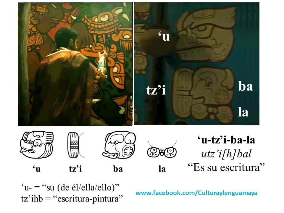 Respecto a los textos jeroglíficos que aparecen en Wakanda Forever, en una de las escenas: En el bloque de arriba se identifica el signo <'u>, en el siguiente bloque se lee <tz'i-ba-la>, junto se pronuncia,/utz'i[h]bal/ y se traduce como "es su escritura" o "es su pintura".