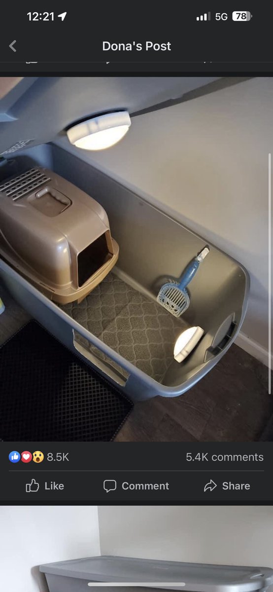 SPLlFFQUEEN's tweet photo. y’all I saw this fb cat litter box hack thing &amp; im abt to give this shit a go. https://t.co/LiLriIRybV
