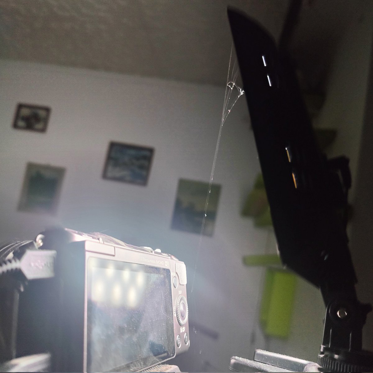 brysiu 🫠😳 tweet media