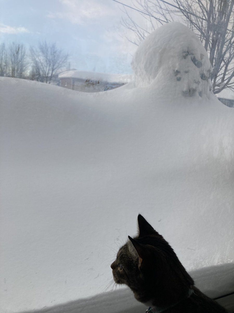 All my bags are packed, I’m ready to go, I’m standing here…in 4 feet of snow. I’ll be there as soon as I can get there safely &amp; legally, #NYSCATE22!