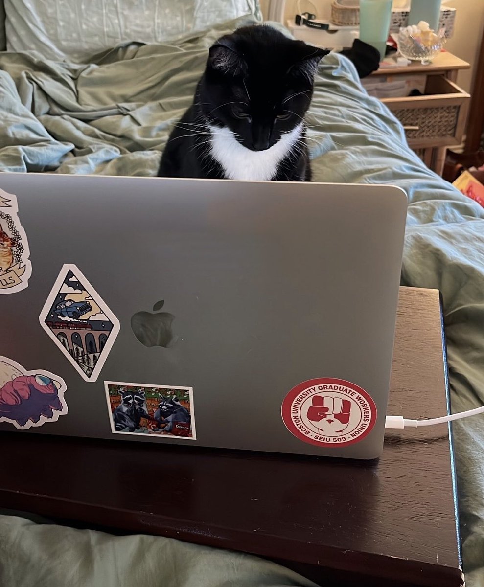 AlannaCarey3's tweet photo. Got some help on my F31, hope the NIH is cool with that https://t.co/kUoJ8KXX4L