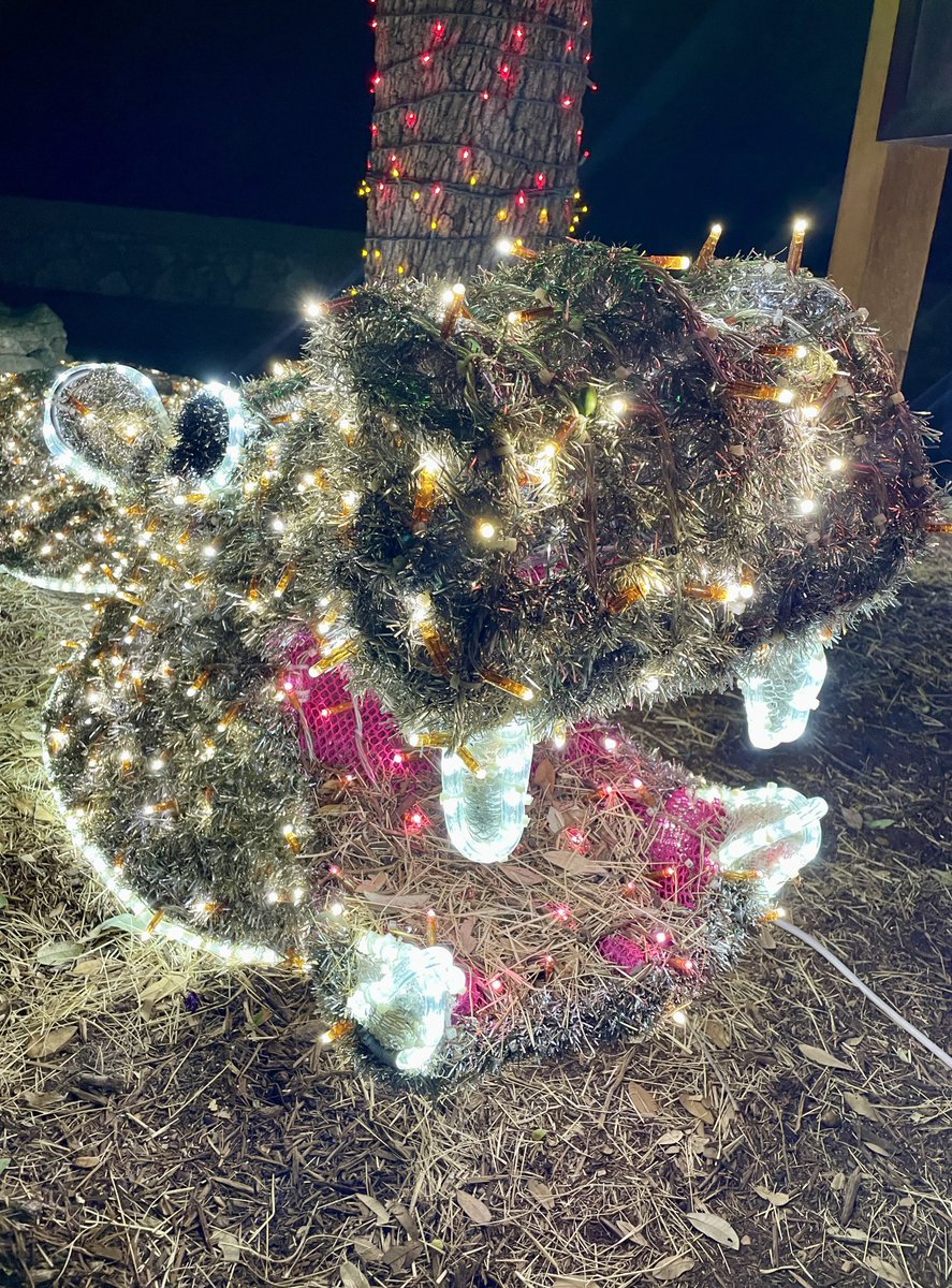Zoo Lights, powered by CPS Energy is here! Join us today from  10 AM - 9 PM for all the bigger, brighter, and WILDER fun that this year has to offer!

Enjoy dazzling lights, holiday eats &amp; drinks, larger-than-life displays, photo-ops throughout the zoo, and more!