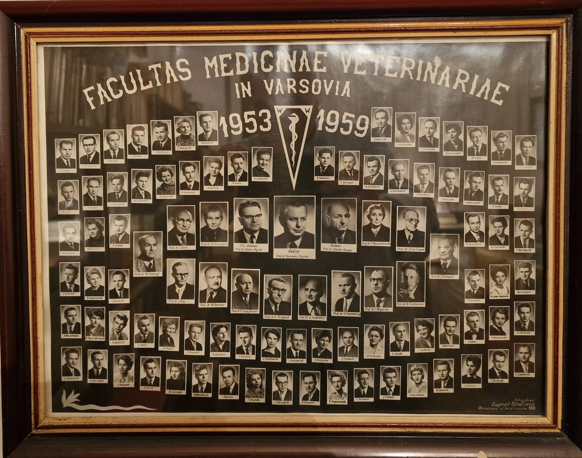 c_jurkiewicz's tweet photo. Siedzę w bibliotece Ś.W.Pamięci Taty w #Urle. Jestem u Mamy 84 lata i mam przekonanie, że trzeba dotrzymać obietnicy rodzinnej. Jakiej? Robić co tylko możliwe dla Narodów na wschód od Polski. Gdyby nie Oni, nie byłoby nas ani wtedy, ani teraz. Niech Bóg błogosławi #Najjaśniejszą https://t.co/l68hGZURiN
