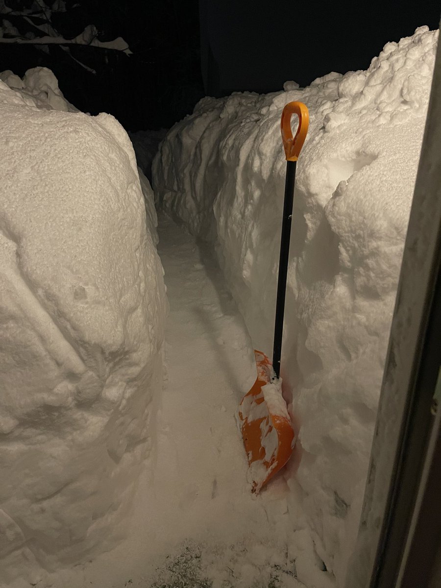 x- charlie 🇺🇸 tweet media