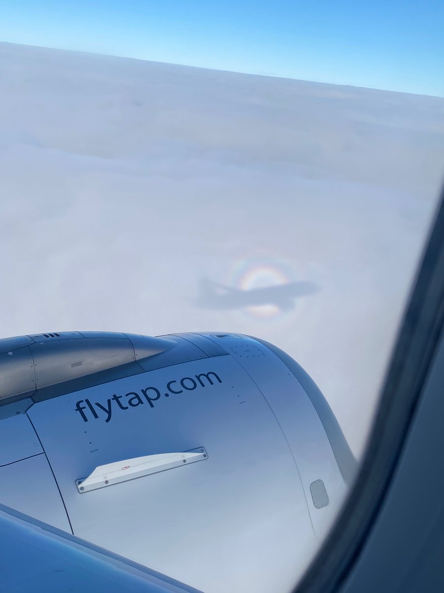 Huma Ali tweet media