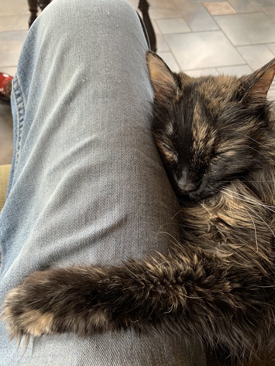 BurglenTurds's tweet photo. @SethMacFarlane That’s a rough one sorry, for your loss.
Lost my bff last Dec. https://t.co/NskMQdsunV