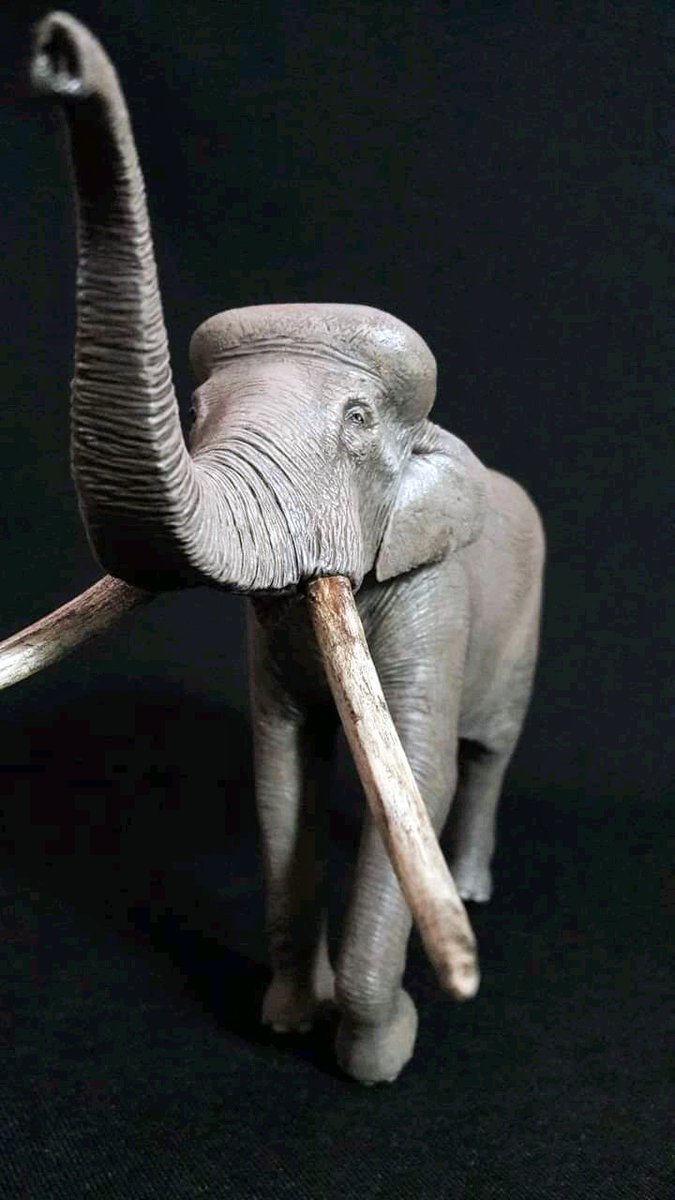 nerites's tweet photo. ❤️ #proboscideans https://t.co/dpIDGwAaSV