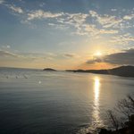 ツイートに含まれる画像