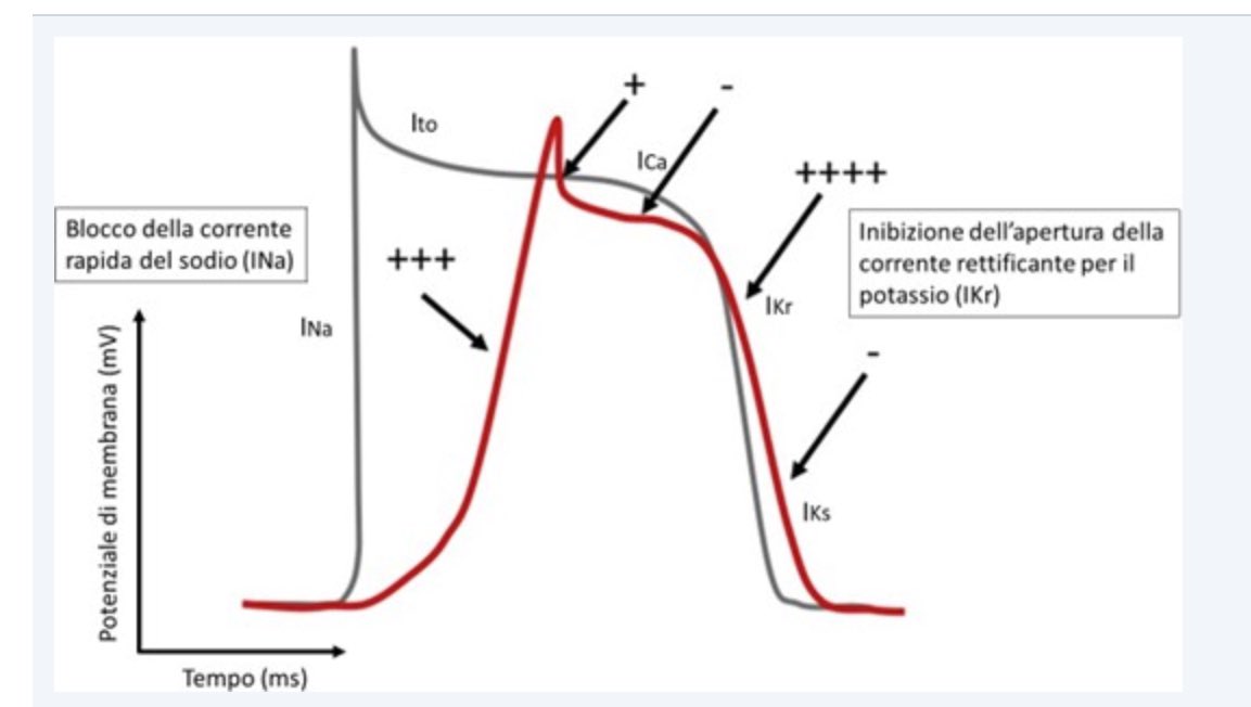 FcoAyusoMC's tweet photo. Los antiarrítmicos clase IC están asociados a incremento de arritmias y mortalidad en Px con daño estructural  (isquémica alteraciones de VI, FEVI reducida)
-Interacción con la zona isquémica así como ser introtropico negativo por su efecto en la reducción del calcio intracelular https://t.co/83VQwbgXYD