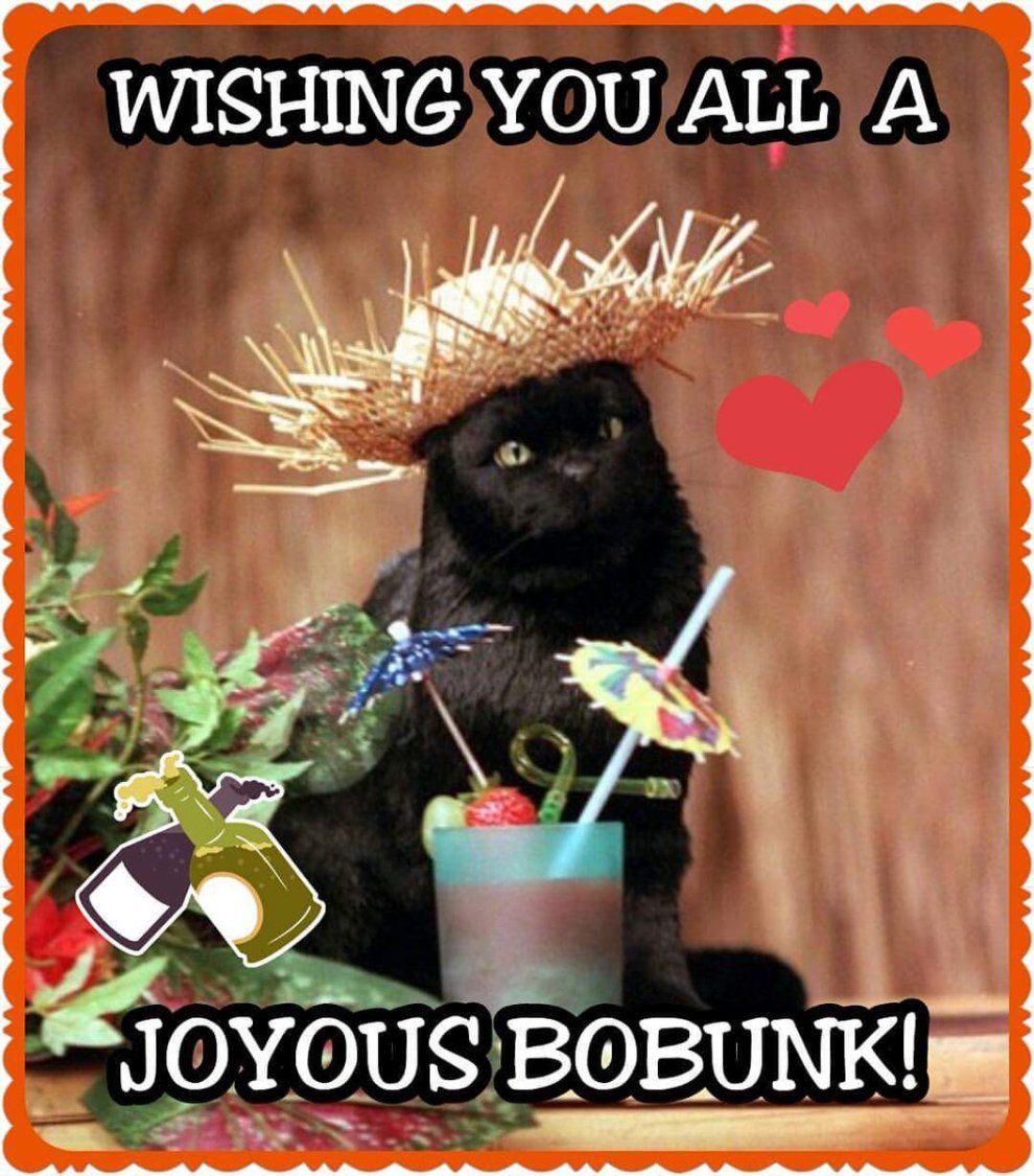 LibraryShifter's tweet photo. #Bobunk https://t.co/f0bOraxtrz