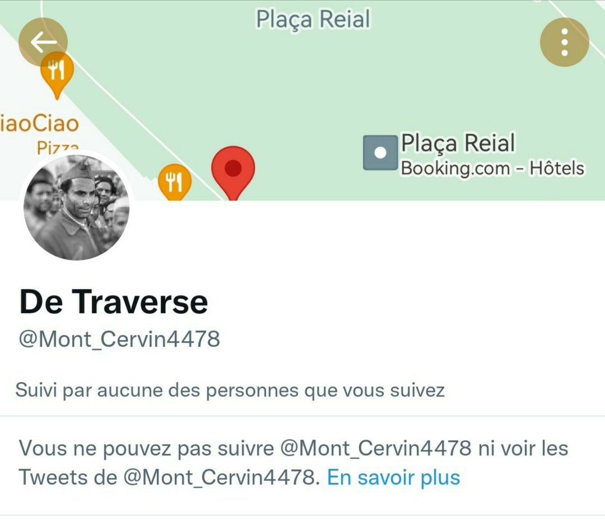 Bernard Grua 🇺🇦🌻🍉🚜, backup account tweet media