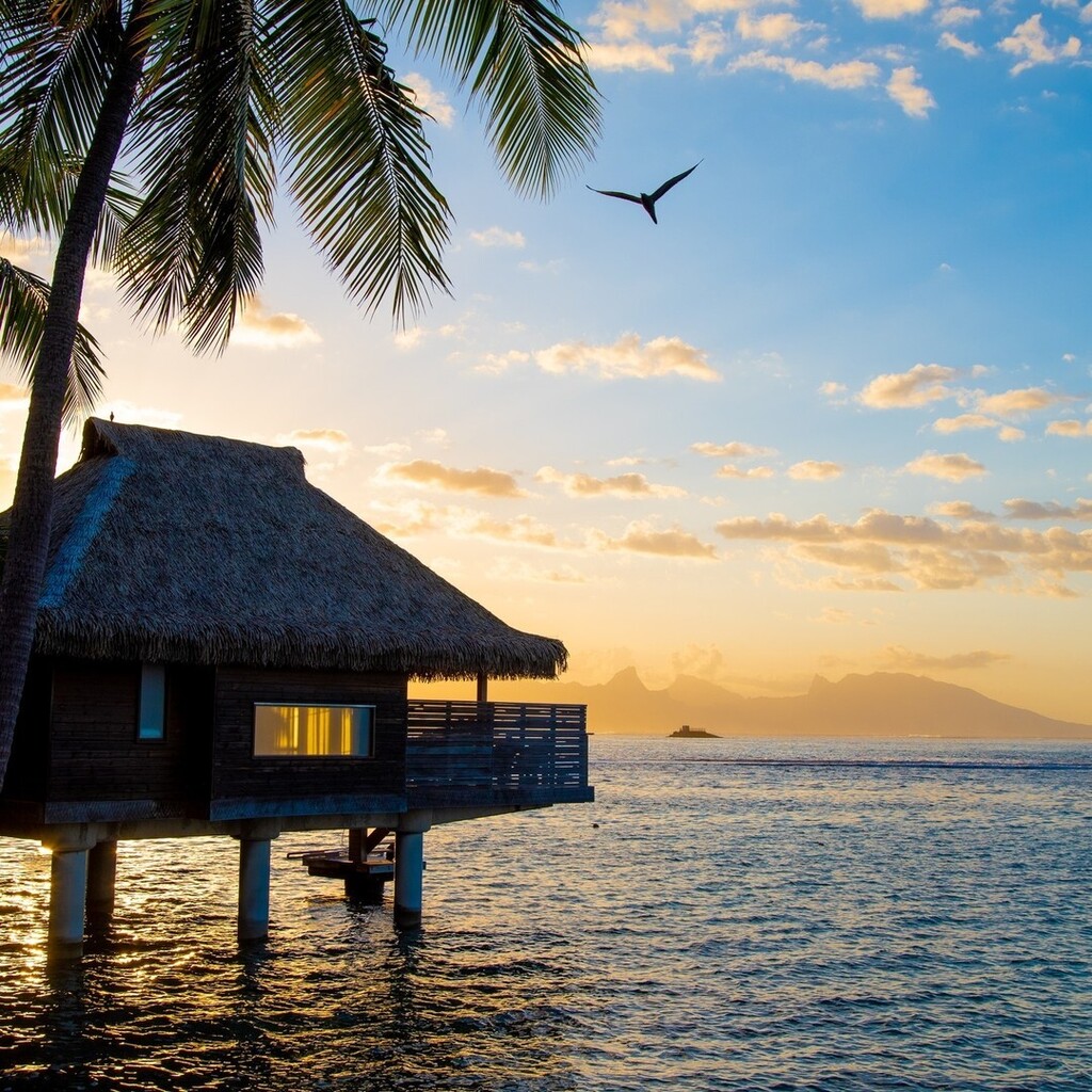 IC French Polynesia tweet media