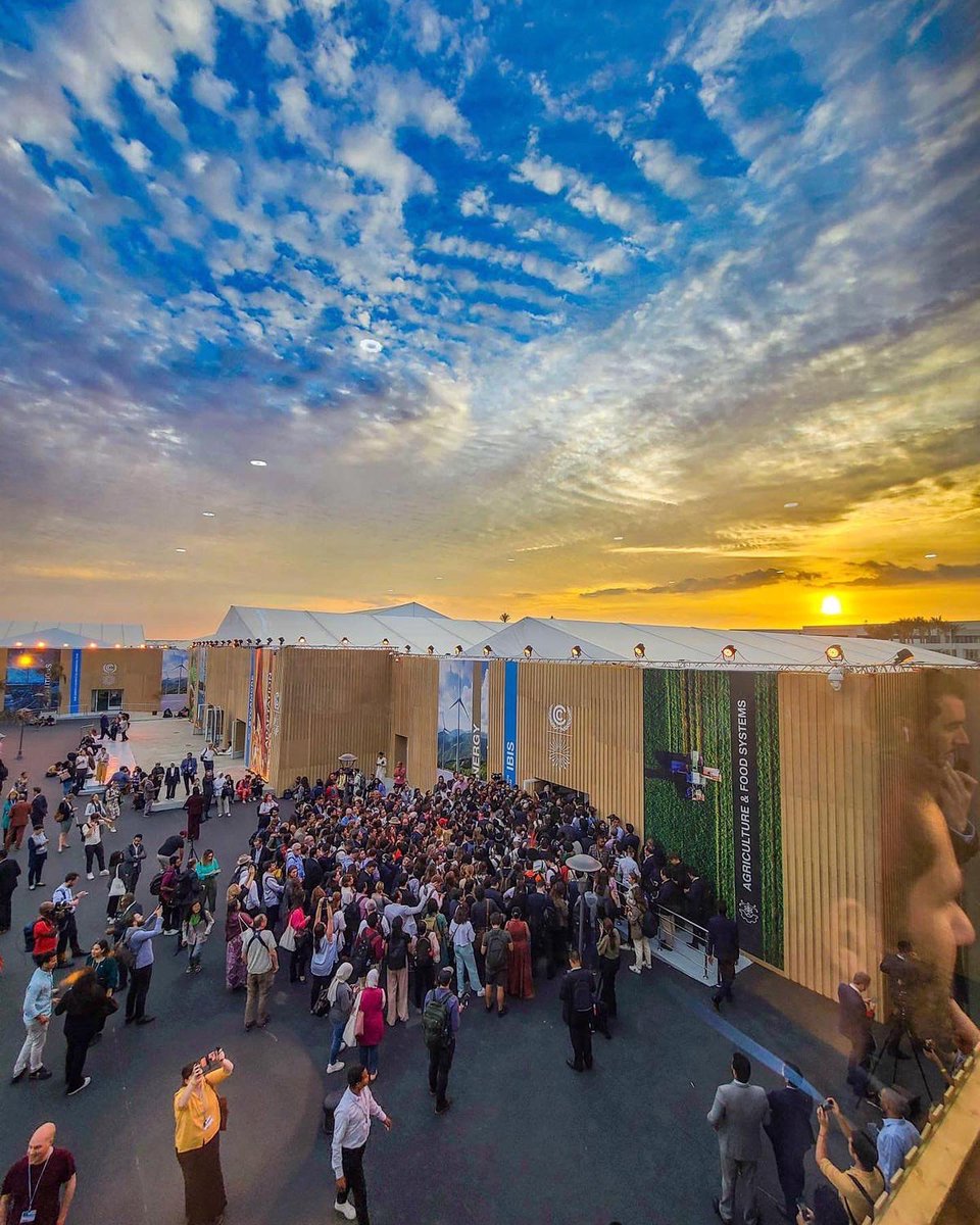 Nicki Bailey (she/her) tweet media