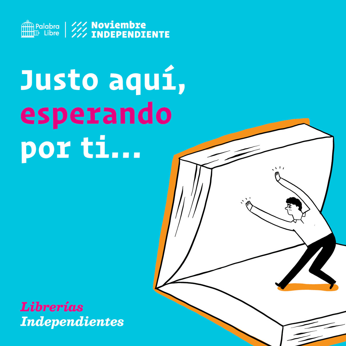 PalabraLibreUS's tweet photo. Librerías independientes, el lugar donde habitan nuestros libros independientes. 💙❤️💜
¡CONOCE TODO NUESTRO CATALOGO!
Visita: https://t.co/p1a8Q3mETI
#NoviembreIndependiente
#LeoIndependiente
#ColombiaLee
#YoLeoIndependiente
#Editorialesindependientes
#Editorial
#Libros https://t.co/RXRHVIC2oF