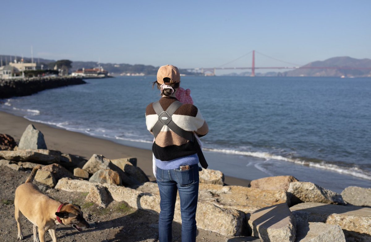 Britt Purdy tweet media