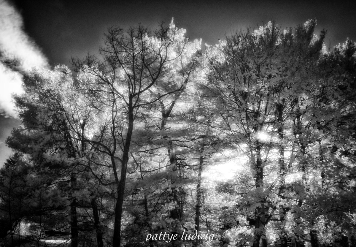 purcy2004's tweet photo. Nikon D200 with sensor infrared filter removed #bwinfrared https://t.co/xPqHeStefp