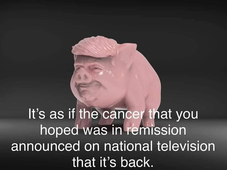 Masslady tweet media