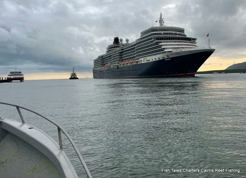 Welcome to Cairns `Queen Elizabeth`
#trinityinletcairns #fishtalecairns #queenelizabeth #cairns