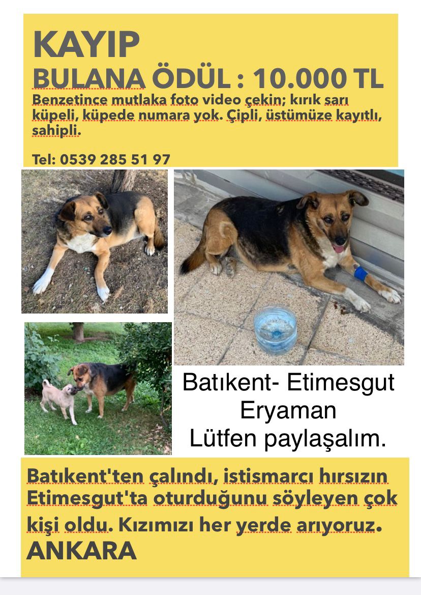 notcasual_'s tweet photo. Bazılarınız -mış gibi yaparak çoğunuz da bariz görmezden geldiğiniz ve umursamadiginiz için teşekkür ederim kızım adına bir masumun hayatı nedir ki @ahbap @Mugeanliatvde @eceuner12 @FOXhaber @FOXTV @adalet_bakanlik @hacikodernek @HAYTAP_ORG @HAYKODonline @Haydi_Ahbap @MediOzkan20 https://t.co/BAqGQPIeff