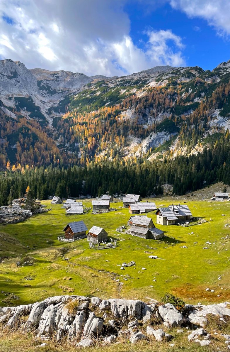 NEW BLOG! Here is amazingly positive adventure in the mountains above Bohinj where we hiked through pristine nature, beautiful forest and scrambled up rough mountains. Enjoy the read! exploringslovenia.com/blog/2022/11/1…