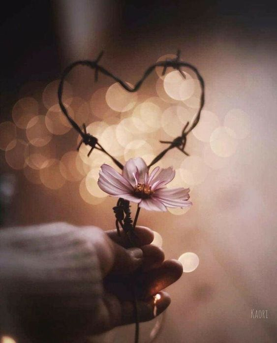 ElisaElisa110's tweet photo. ..La vida no es perfecta para ser maravillosa
Soy una hermosa mariposa
Tu identidad es tu posesión más valiosa
Protégela a toda costa....#DavidRees https://t.co/miHPQfSMGD