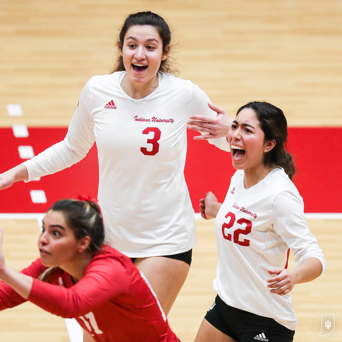 IndianaVB's tweet photo. Battling the Buckeyes on Sunday 💨

First serve with No. 5 Ohio State at the Covelli Center tomorrow is 1:00 PM EST! https://t.co/3gZg05CJw1