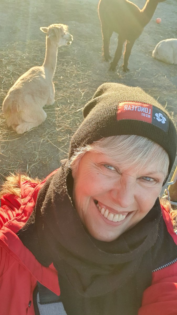 hoeggen's tweet photo. Har vært på julemarked og hilst på alpakkaene idag, det var kjempekoselig 🥰 #julemarked #Sørstugård #alpakka #førjulstid #selfie https://t.co/s5DapAe9BM