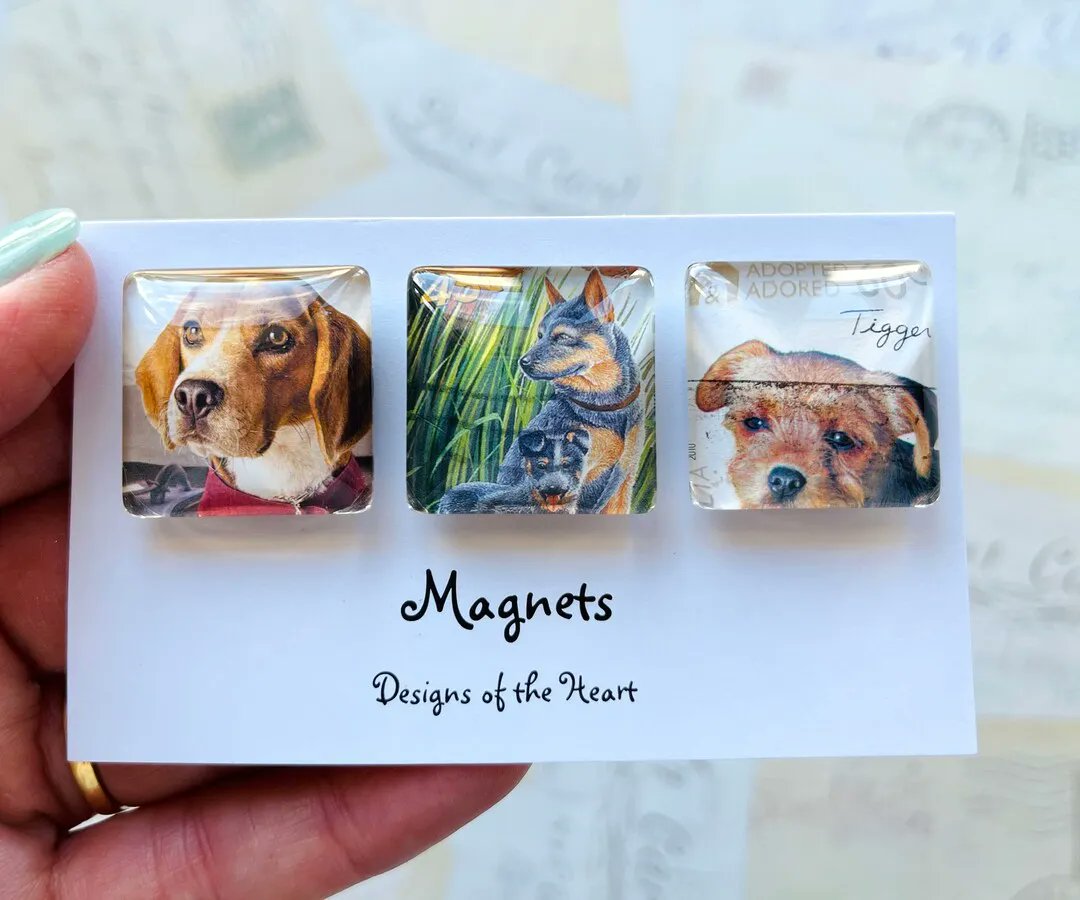 designsofheart's tweet photo. Magnets Square Glass Set  Australian Stamp Collection  Dogs - Etsy Australia https://t.co/fPiDw9gGiF #magnets #australianstamps #dogs #adopteddogs #doglover #stamps #fridgemagnets #gift #stockingfiller #stockingstuffer https://t.co/5ecoAFjxn9