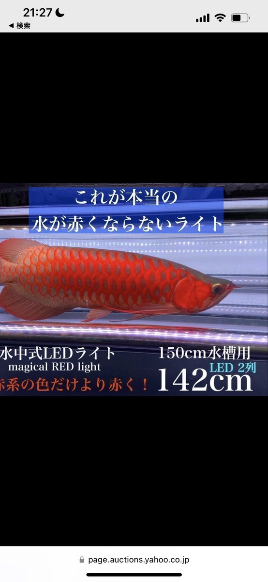 INTE42737825's tweet photo. プレゼント企画✨
②応募用ツイート🎶

アクアリウムJunさん協賛のマジカルレッドライト希望の方はこちらに返信して下さい(∩´∀`∩)💕

YouTubeの動画しっかり見てね🎶
キーワードは、言わないでねw https://t.co/SskOEGotVq