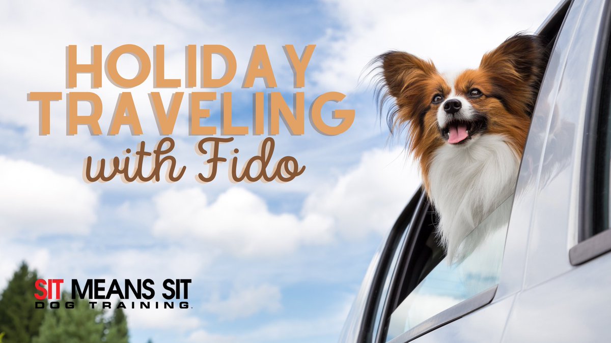 DogTraining_MI's tweet photo. Tips for Traveling with Your Dog Over the Holidays | https://t.co/702zT7WbDj https://t.co/6NIBCmSeCS