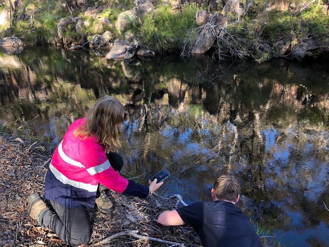 Eli_Ecology's tweet photo. It was an amazing @FrogIDAus week! I had a ton of fun recording Aussie frogs in the NSW New England Tablelands https://t.co/AHjz9TowbI