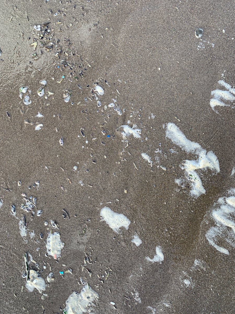 PiCodeandChips's tweet image. First walk on #CroydeBeach since the spring shocking amount of micro plastic #plasticpollution on the tide line 😞