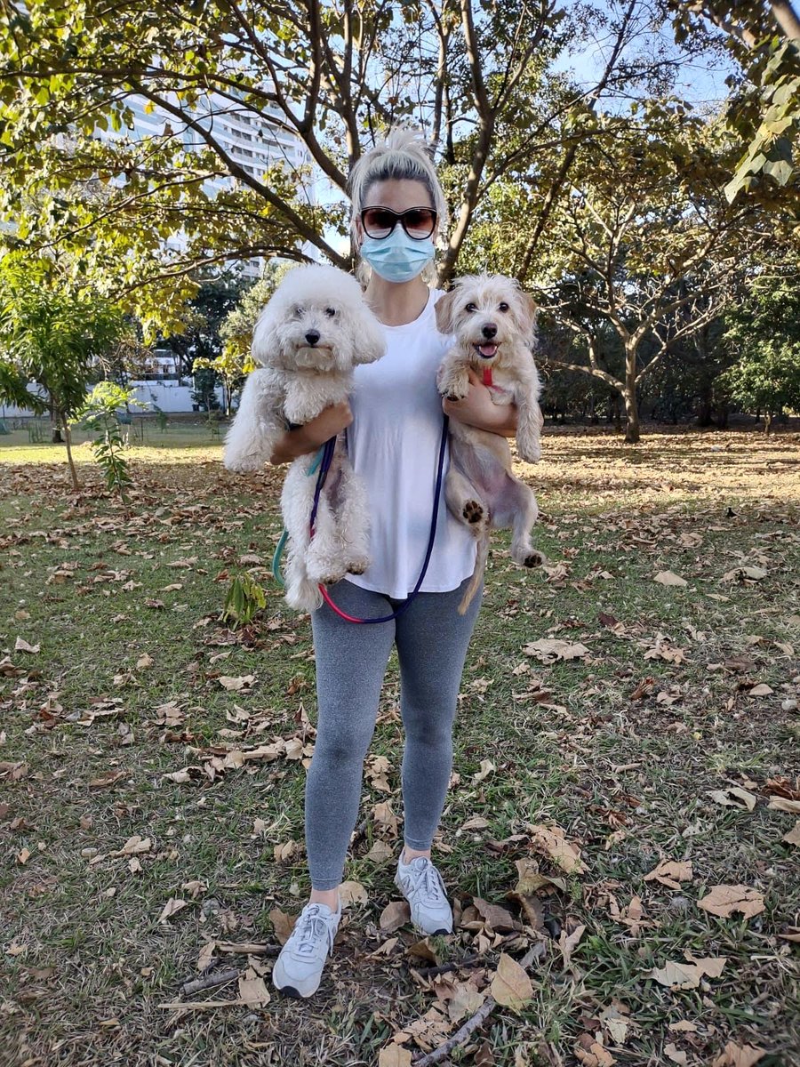 laucartaxo's tweet photo. Adotar é um ato de amor e responsabilidade! Esses são os meus amores: o Billy e a Phoebe! #DF2 #DFTV2 #DFTV2 https://t.co/jpKpSkw0C5