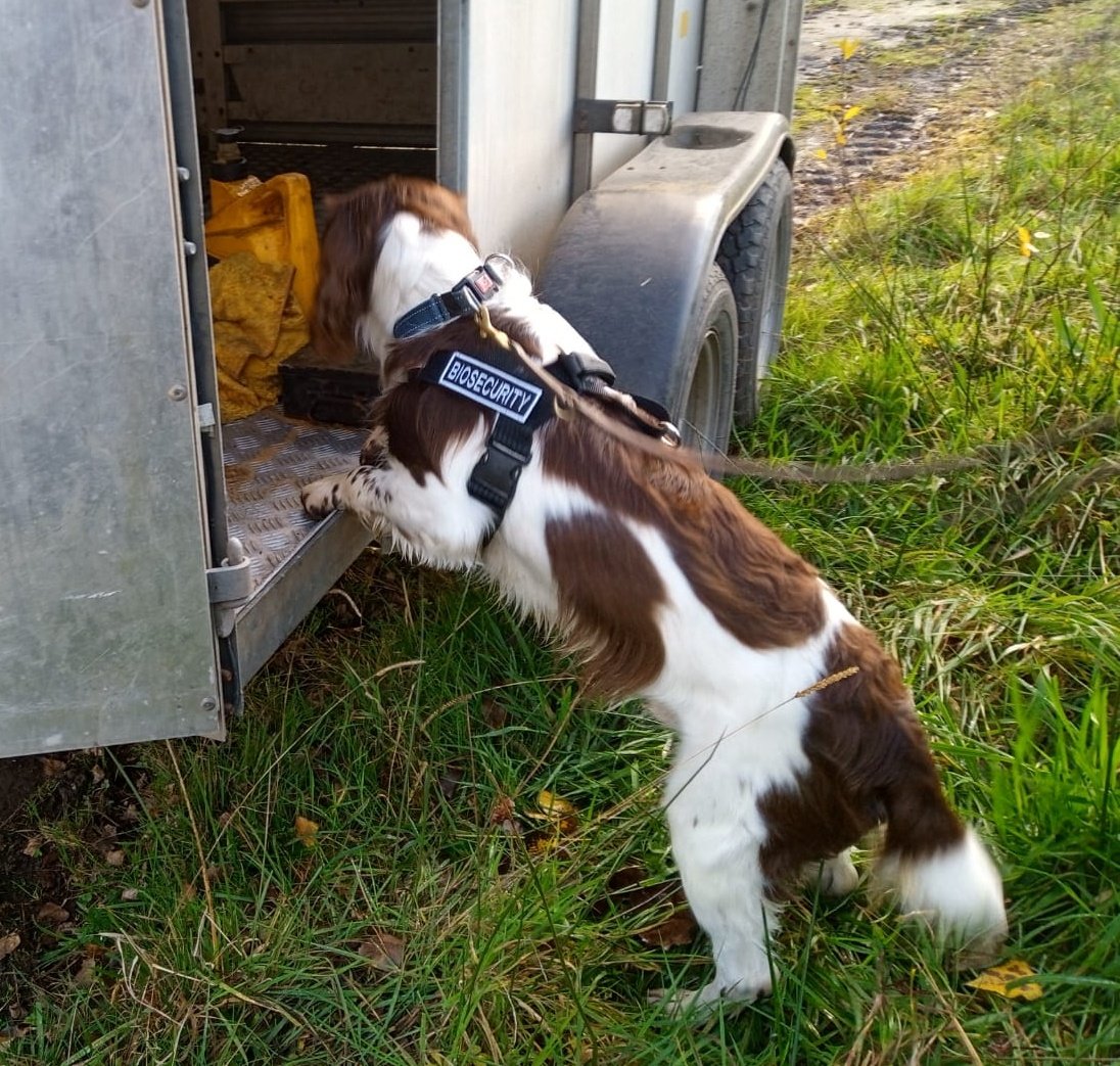 CarMFin's tweet photo. When you need a reminder of what you are doing that day, write it on the dog ๐
#detectiondog #biosecuritydog #rodentdetection https://t.co/xMpgKjdo64