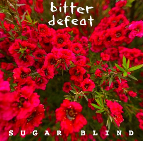 Our new single 'Sugar Blind' - out December 1st on all good (and some average) streaming services...