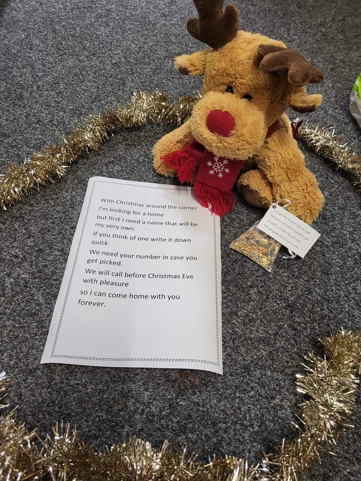 Competition time! Can you help give our Reindeer a new loving home? Pop in to see us to get your choice in, and we will give you a bag of Reindeer food for Christmas Eve! 🎄 🎅