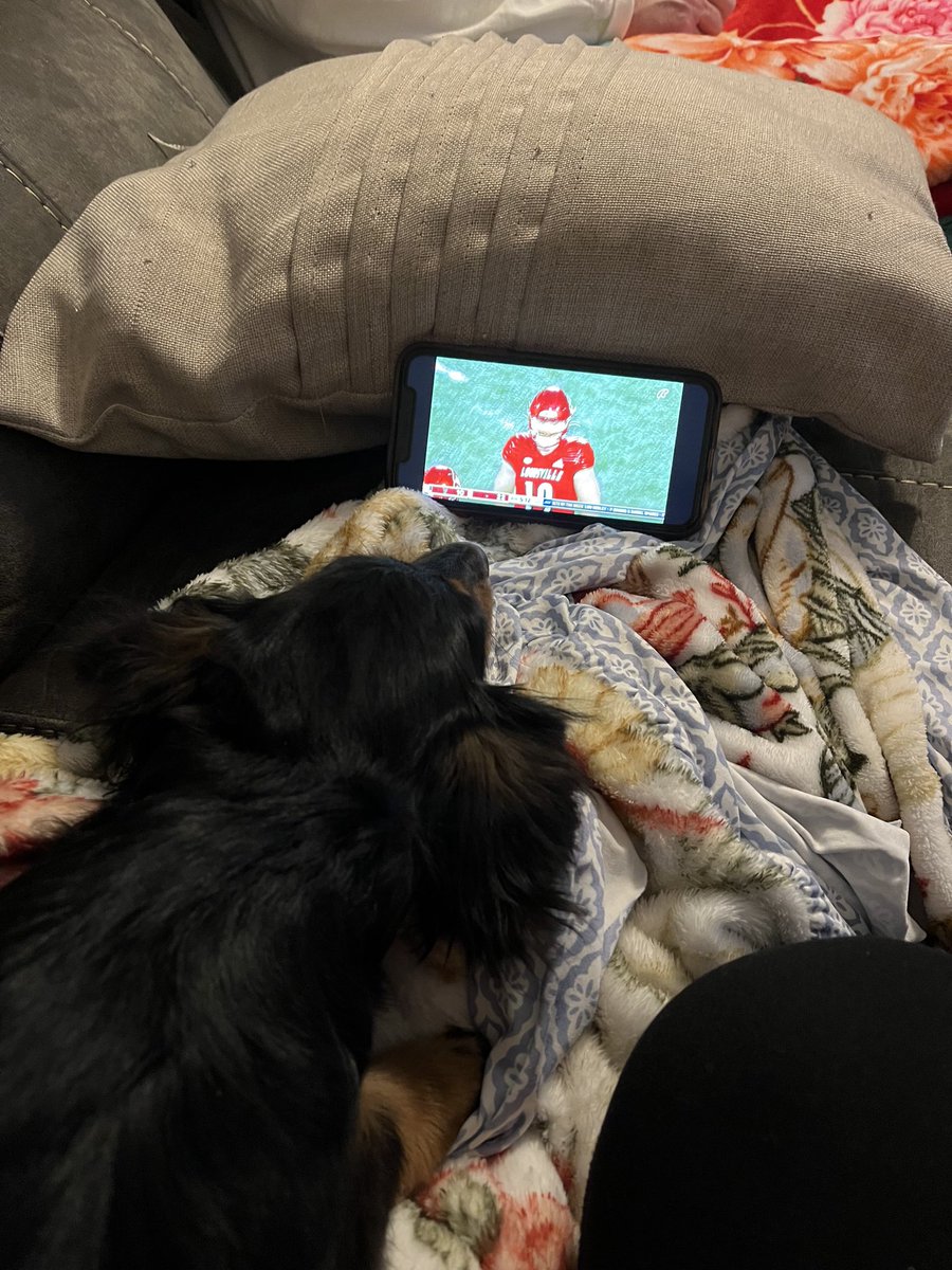 Emma loves watching the cards win!!!! #gocards