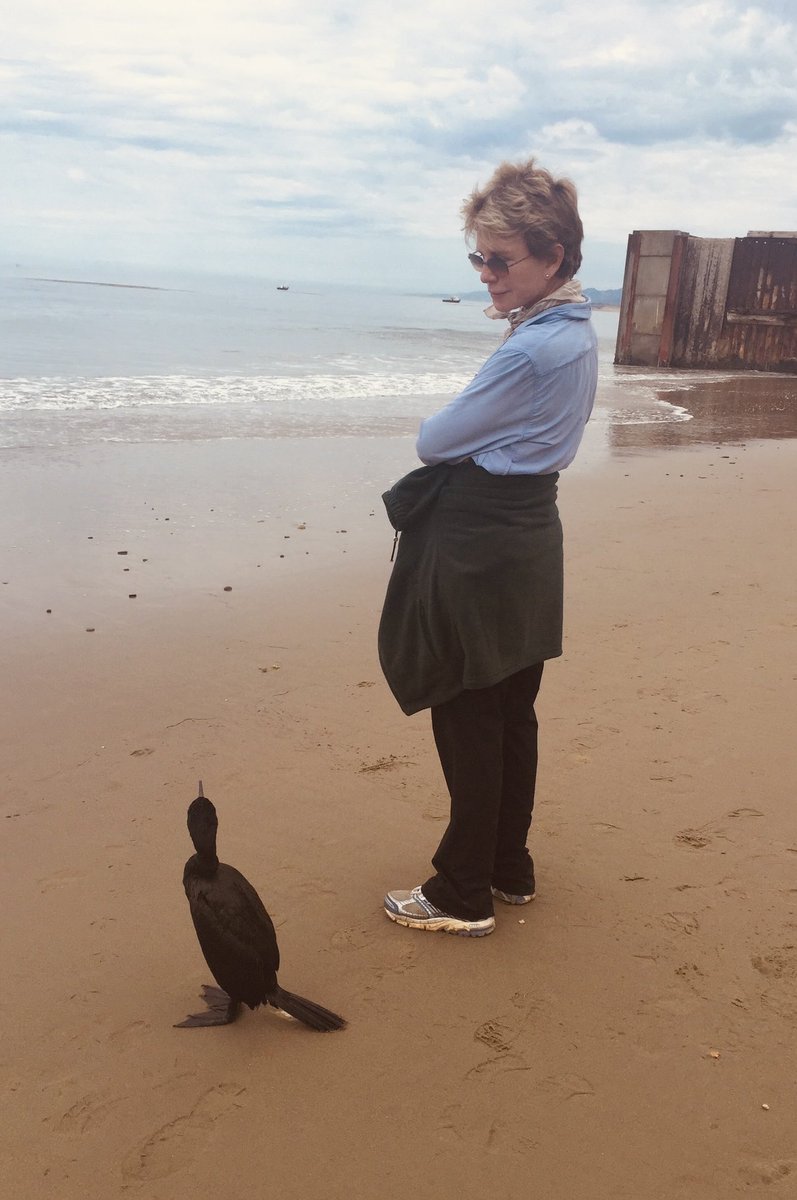 Patricia Cornwell tweet media