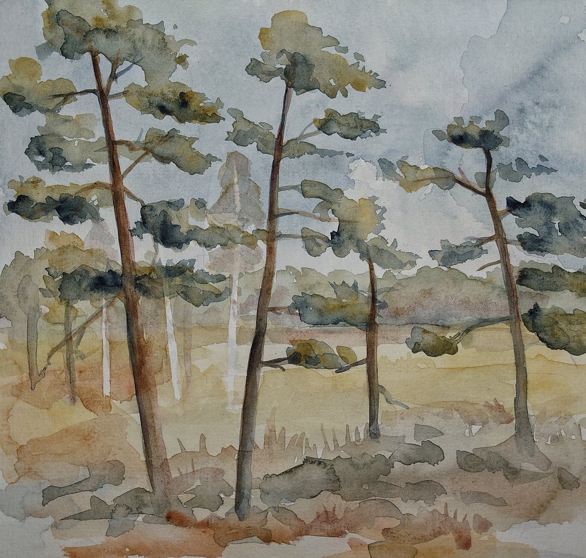 SAOCousins's tweet photo. #artDD2022 no 323
Mire in Tyresta National Park
A special place where you can see Capercaillie and Blackgrouse if you are very VERY lucky
#dailydrawing #tyresta #peat #Watercolour @CobbinSteve1 https://t.co/joejm7Ub0Q