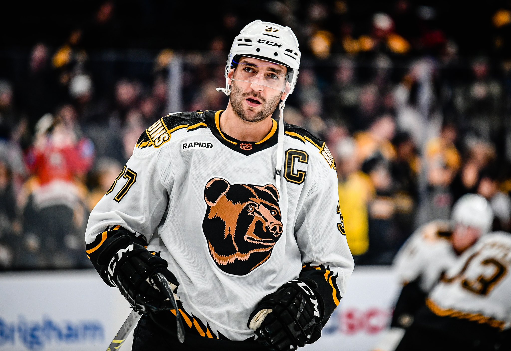 Pooh Bear is back: Locked on Boston Bruins #Shorts 