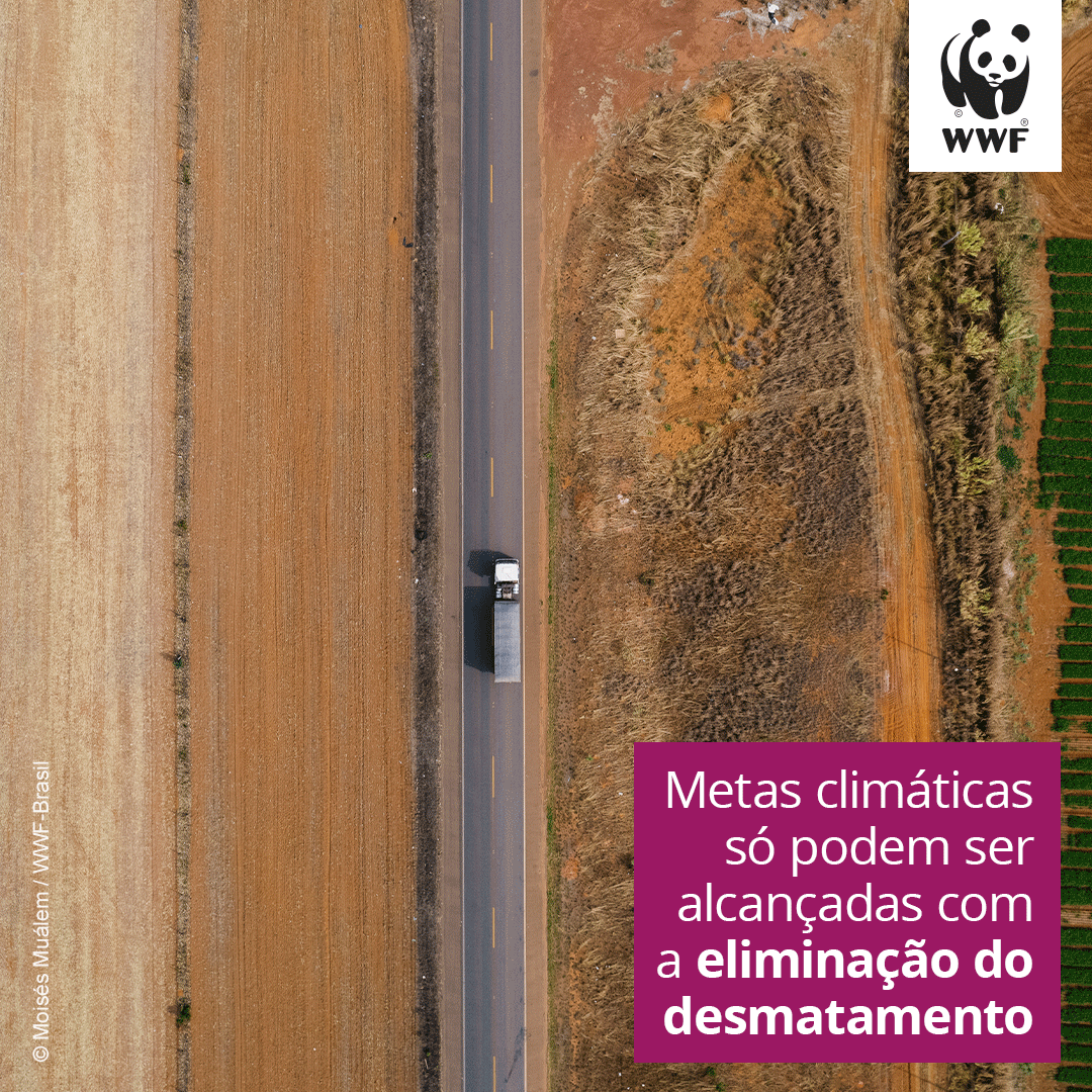 wwfbrasil's tweet photo. O WWF entregou aos negociadores climáticos da ONU reunidos na #COP27 uma nota técnica inédita alertando que a meta de 1.5ºC do Acordo de Paris não será cumprida sem a participação dos produtores agropecuários. Entenda: https://t.co/akJwZsXV0S

#AgirÉUrgente #JuntosÉpossível https://t.co/5PMSgTnjLT