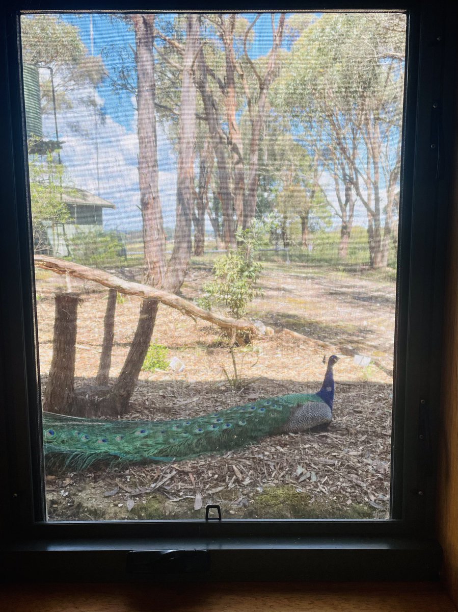 Stuart Clark tweet media