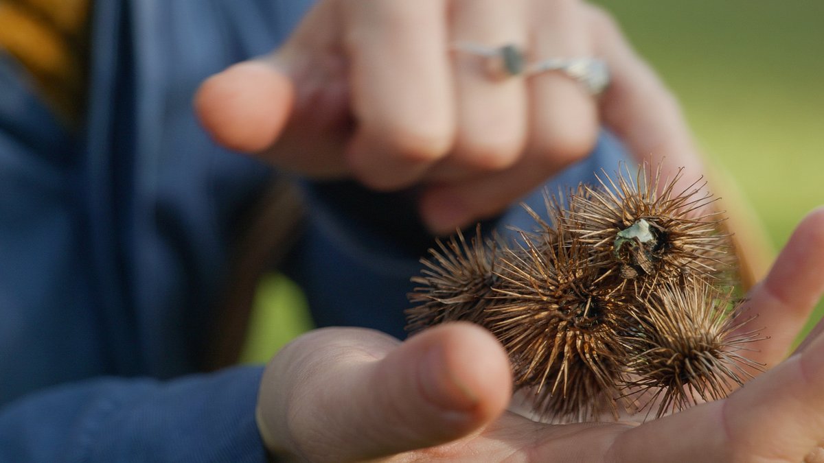 Girls Who Click tweet media