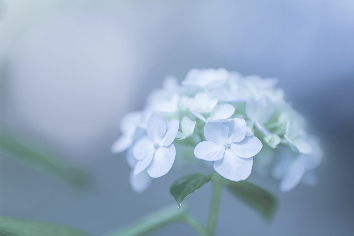 isumu.eth🌻NFTphotographer tweet media