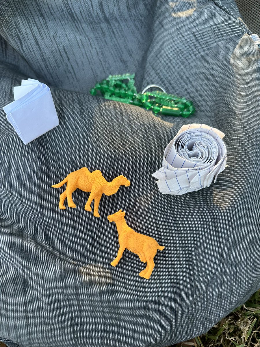 Amy 💚 tweet media