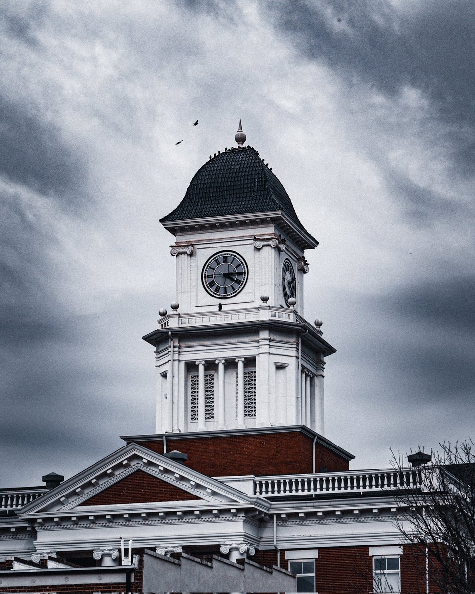 IanTalbert's tweet image. Guard your time. Protect it. Spend it intentionally and present with every second that passes. Allow the birds to rest on your shoulders rooted in the moment. Anchored to right now. Anxiety lives in the future &amp;amp; depression lives in the past, but you can choose to live now.