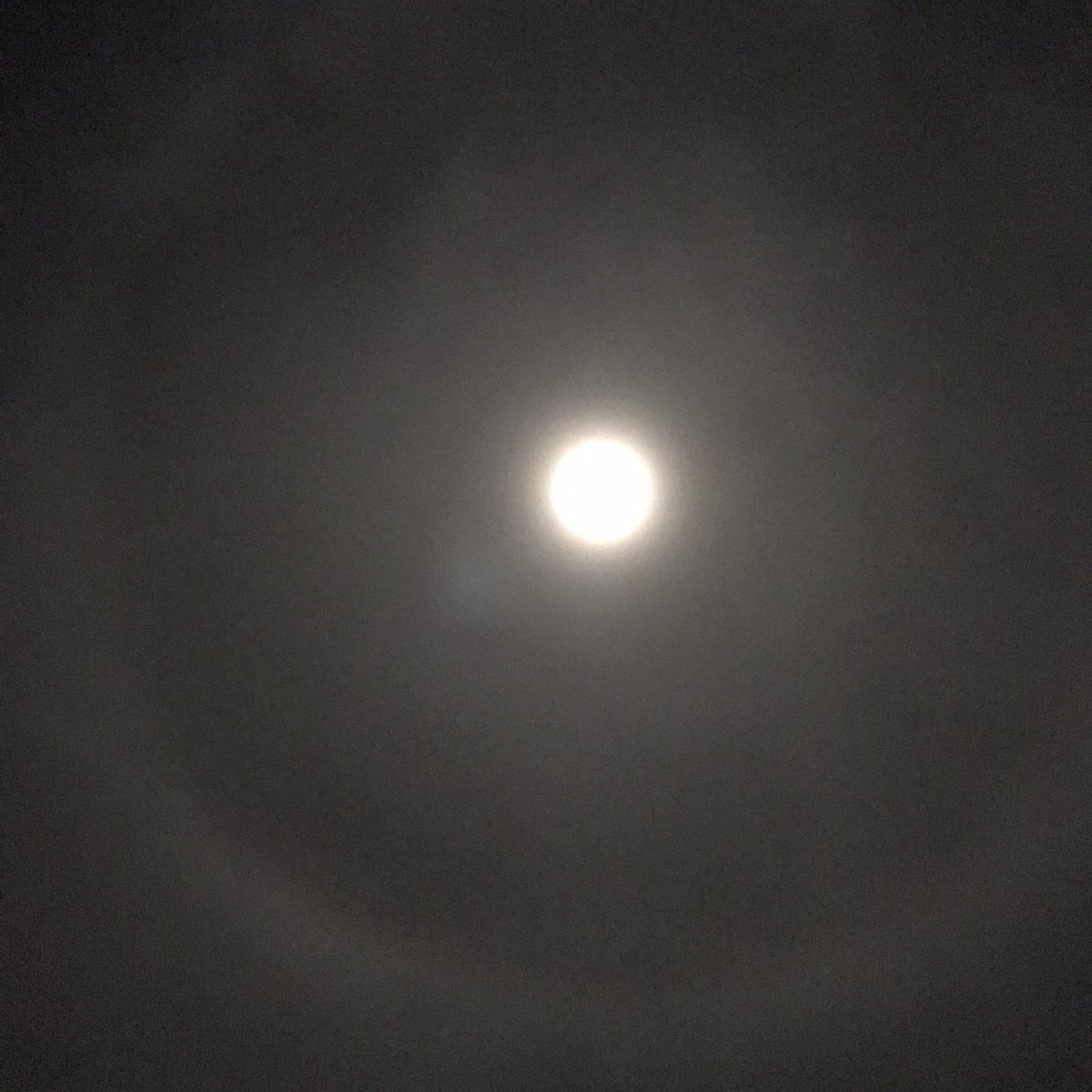 JenniferDula4's tweet photo. @MarshallMcPeek @wsyx6 @fox28columbus  Big hazy circle around the moon at 11:22 p.m., before the Lunar Eclipse Blood Moon, Somerset, OHIO #SomersetOH #Ohio #OhioState https://t.co/JkCze7hZLo