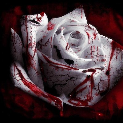BloodofDuskRose's tweet photo. [=──────╗▶🌹◀╔──────=]

Self Insert Roleplay

• Trans masc (FTM) Vampire
• Multiship
• Bisexual
• Picky with NSFW (only in DMs please) (Might do kinky shit)
• SFW Fluff Necessary (Loves blanket cuddles)
• Poor Mental Stability

RT/Like/Follow please? https://t.co/S0AGaAn4To