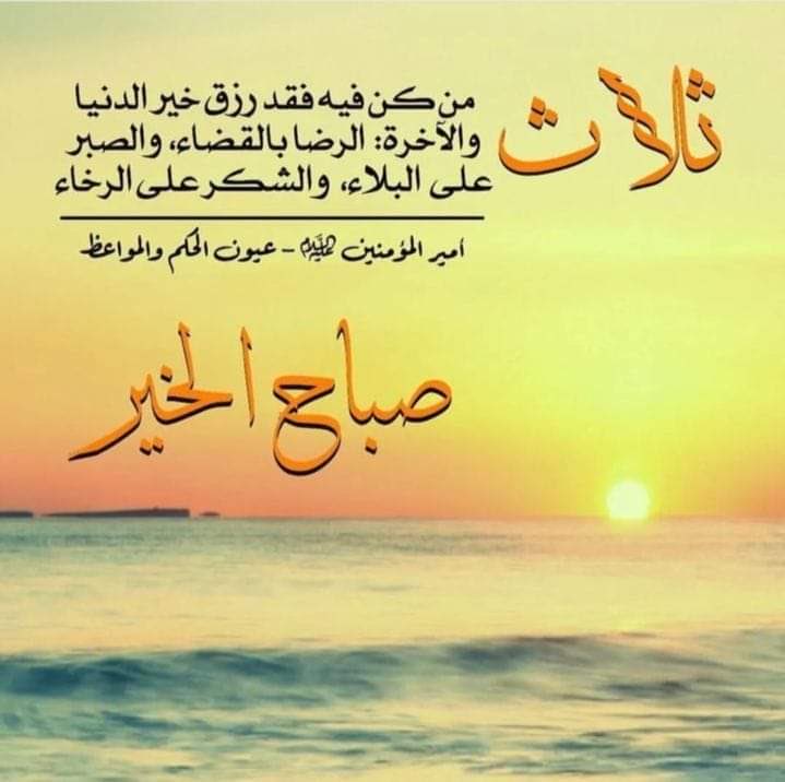 BugBossManager's tweet image. 